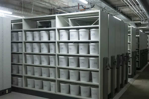 10-000-human-brains-in-buckets