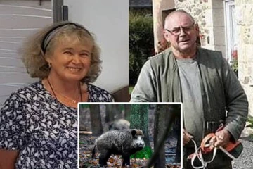 பிரித்தானிய பெண்ணை பன்றி வேட்டையின் போது கொன்ற சக தோழர்: பிரான்சில் அரங்கேறிய சோகம்!