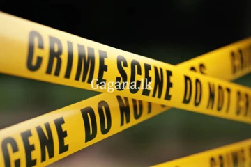 මව ඝාතනය කර පලා ගිය පුතා සොයා විමර්ශන