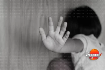 දරුවන් 36 ක් ලිංගික අපයෝජන කළ ව්‍යාපාරිකයෙක් අත්අඩංගුවට - කරපුවා ඔක්කොම වීඩියෝ දර්ශනවල