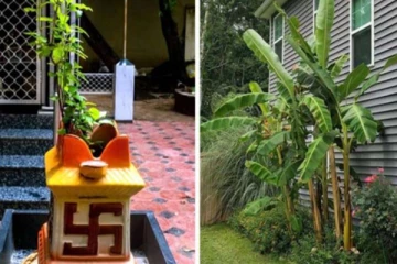 வாழை மரத்திற்கு வாஸ்து இருப்பது உங்களுக்கு தெரியுமா? இந்த தவறை செய்யக்கூடாதாம்