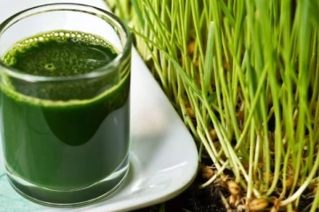 உடலில் உள்ள கழிவுகளை அடித்து விரட்டும் பச்சை பானம்... பருகிய சில நொடியில் நடக்கும் ஆச்சரியம்!