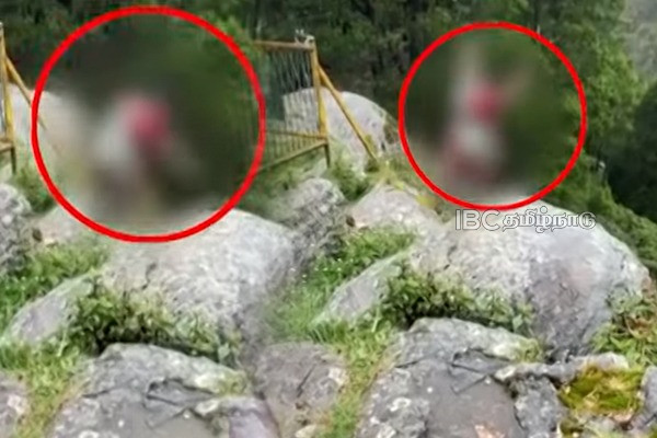 சுற்றுலாவுக்கு போன இடத்தில் மலையில் இருந்து குதித்த மூதாட்டி - சடலமாக மீட்பு | The Old Woman Who Jumped From The Mountain