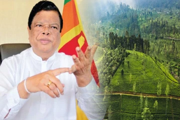 நட்டத்தில் இயங்கும் பெருந்தோட்ட நிறுவனங்களை மீளப்பெற அரசாங்கம் பரிசீலனை