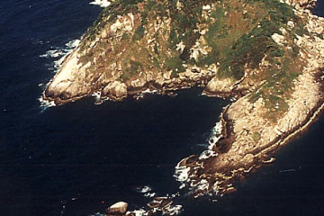 இந்த மர்ம தீவுக்குள் மனிதன் சென்றால் பிணம் கூட மிஞ்சாது? குவியல் குவியலாக கிடக்கும் விஷ பாம்புகள்