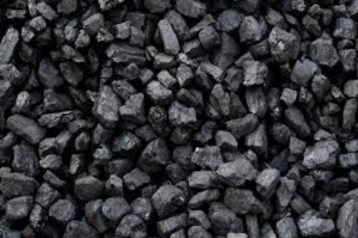 நிலக்கரி ஊழல் : முழு அமைச்சரவையையும் பதவி விலக கோருகிறார் பீரிஸ் | The Entire Cabinet Should Go Home Peiris