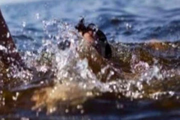 දියේ ගිලී කුඩා දරුවෙක් අතුරුදන් වෙයි.