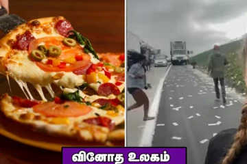 தன்னை தானே விவகாரத்து செய்து கொண்ட பெண்.. விரைவில் விற்பனைக்கு வரும் கஞ்சா பீட்சா! வினோத உலகம்