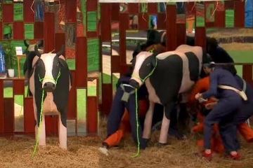 தீபாவளி ஸ்பெஷலாக போட்டியாளர்களுக்கு கொடுக்கப்பட்ட செண்பகமே டாஸ்க்- செம புரொமோ