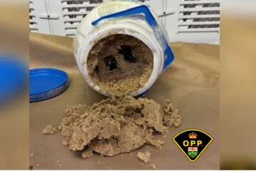 இந்தியாவிலிருந்து கடத்தப்பட்ட போதைப்பொருள் ; கனடாவில் ஒருவர் கைது