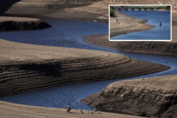 பிரித்தானியாவில் அசாதாரண வறண்ட வசந்த காலநிலை: நீர் கட்டுப்பாடுகள் விதிக்கப்படலாம் என கவலை!