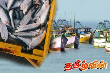 மீன்களை ஏற்றுமதி செய்வதற்கான திட்டம்! வடக்கு தரப்பு விசேட கோரிக்கை