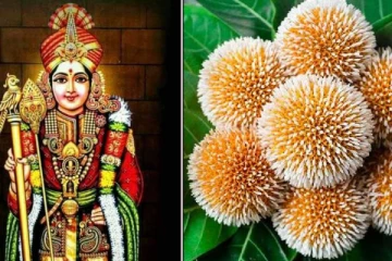 வீட்டில் செல்வம் பெருக இந்த ஒரு பூவை மட்டும் வைத்து பாருங்கள்- உடனடி மாற்றம் பெறலாம்