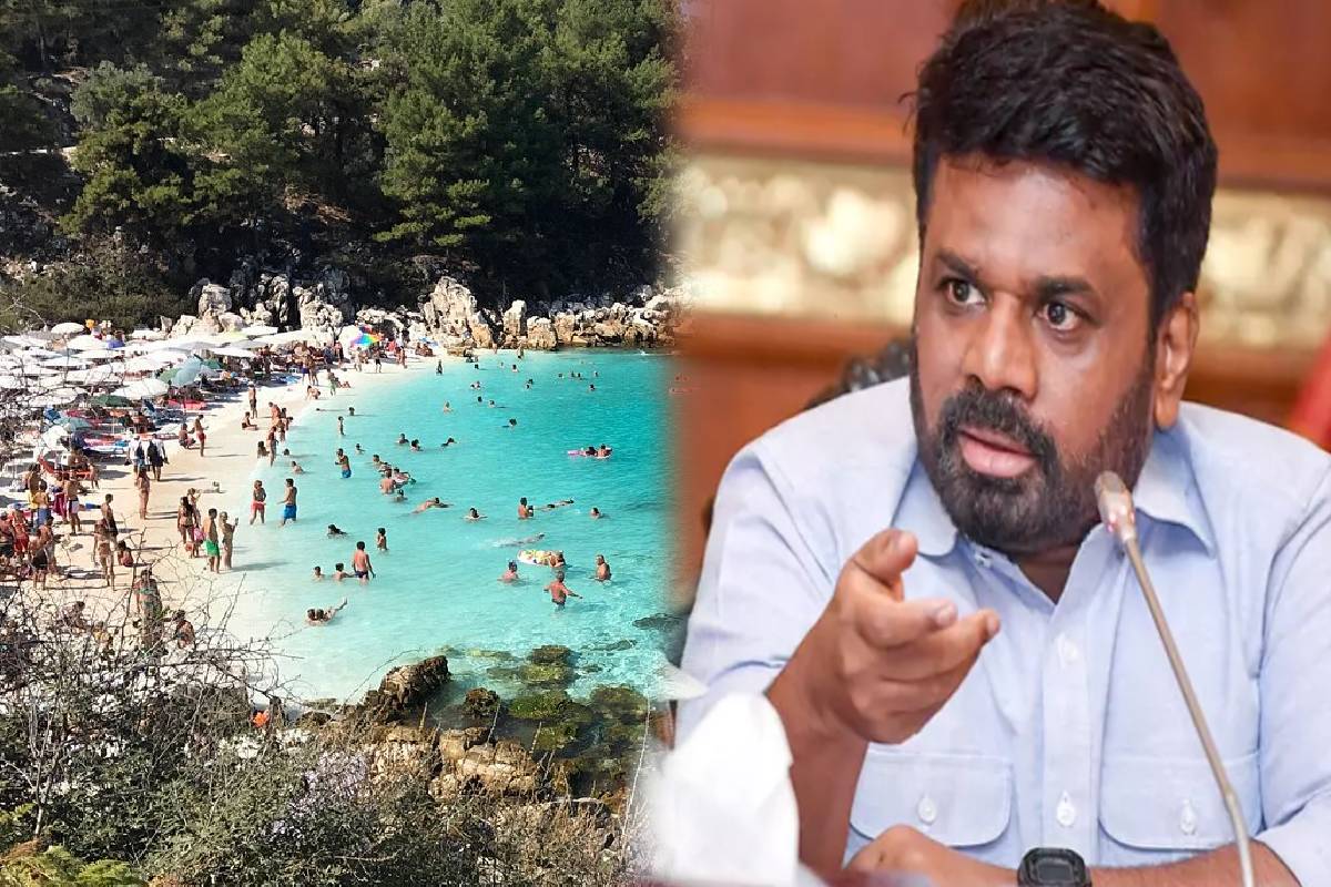 கிழக்கு மாகாண காணி பிரச்சினைகளுக்கு விசேட குழு நியமனம் | Committee Conservation Eastern Province Lands