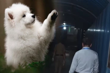 பிரபல அரசியல்வாதி ஒருவரின் சகோதரர் விசித்திர மோசடி ; விழி பிதுங்கும் வர்த்தகர்கள்