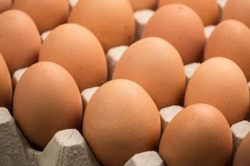 පාර්ලිමේන්තුවටත් බිත්තර නෑ..