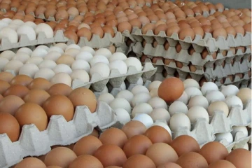 முட்டை விலை தொடர்பில் வெளியான அறிவிப்பு