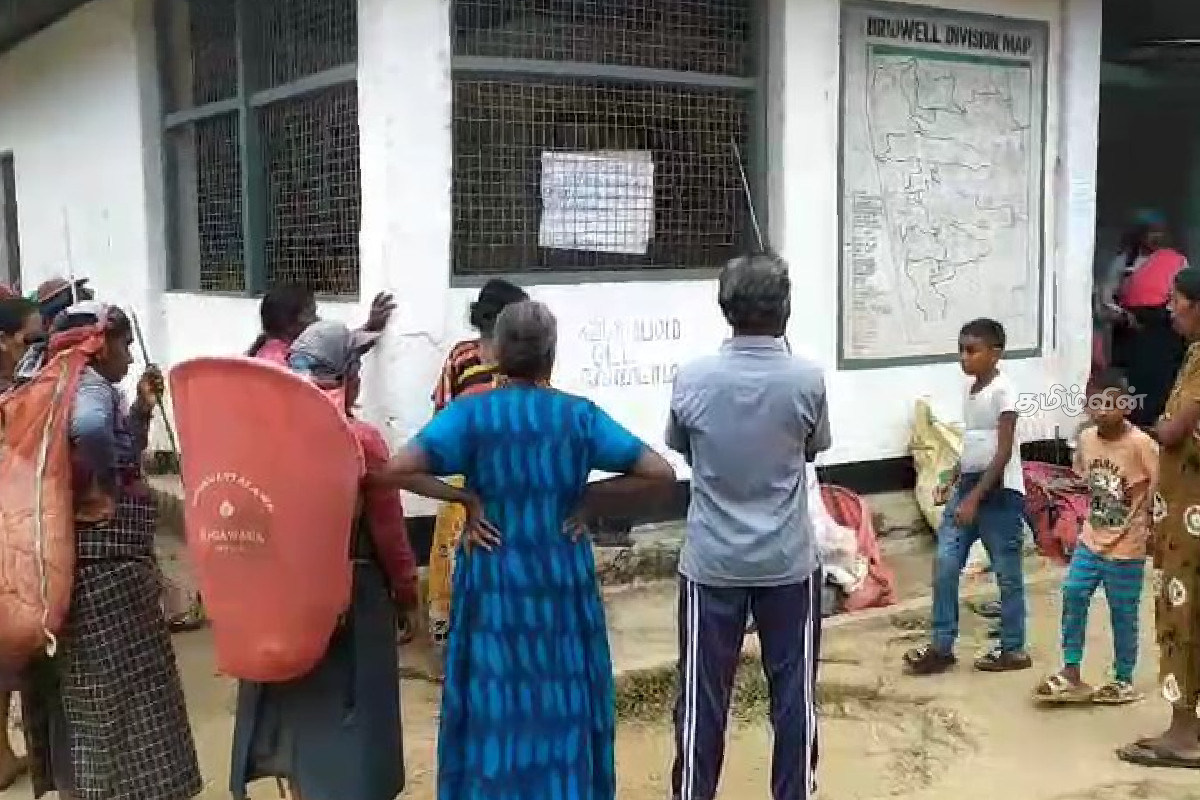 நுவரெலியாவில் வேன் மோதி பெண் தோட்டத் தொழிலாளி படுகாயம் | Female Plantation Worker Van Accident