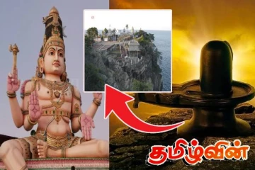 கோணேச்சரத்திற்காக போராடிய வெளிநாட்டவர்! உண்மைகளை அம்பலப்படுத்திய பெண்..