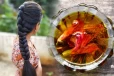 முடி வளர்ச்சியை அதிகரிக்க உதவும் செம்பருத்தி எண்ணெய்.., எப்படி தயாரிப்பது?