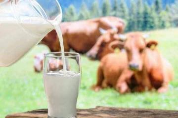 பாலின் கொள்வனவு விலை அதிகரிப்பு!