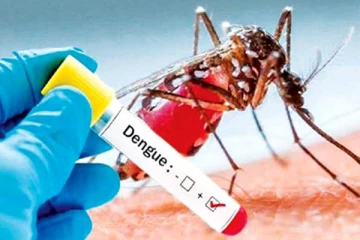 டெங்கு அபாய வலயங்களின் எண்ணிக்கை 24 ஆக அதிகரிப்பு