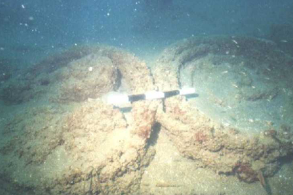 கடலுக்குள் மறைந்த குமரி நிலம்: Lemuria ஒரு கட்டுக்கதையா? | Some Unknown Facts About Kumari Vs Lamoria