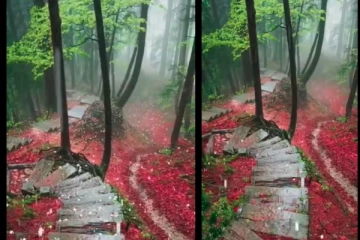 அடடா... என்ன அழகு... கொட்டிக்கிடக்கும் பூக்கள் மேல் விழும் ஆலங்கட்டி மழை! கண்கொள்ளா காட்சி