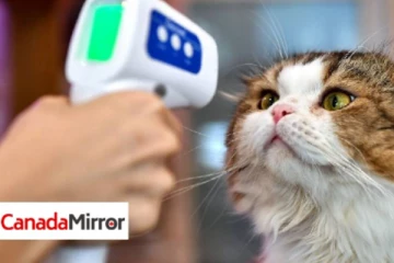 விலங்குகளுக்காக கொரோனா தடுப்பூசி உருவாக்கிய முதல் நாடு