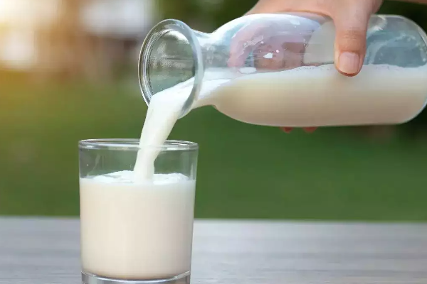 கொழும்பில் பசும்பால் விநியோகம் ஆரம்பம் | Distribution Cow Milk In Colombo From Tomorrow
