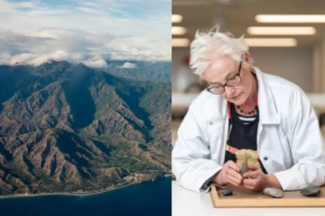 திமோரில் 44,000 ஆண்டுகளுக்கு முந்தைய மனிதர்கள்: அதிர்ச்சி தரும் கண்டுபிடிப்பு!