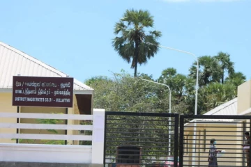 ஒதியமலையில் யானை உயிரிழப்பு: கைதான பெண் பிணையில் விடுதலை(Photo)