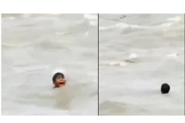 சம்பல் நதியில் முதலைகள் மத்தியில் சிக்கி உயிருக்குப் போராடிய சிறுவன் - திக்.. திக்... வீடியோ காட்சி