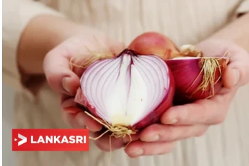 வெங்காயத்தை பச்சையாக சாப்பிடுவதால் கிடைக்கும் நன்மைகள் என்ன தெரியுமா?