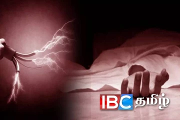 பன்றிக்கு வைத்த மின்சாரம் குடும்பஸ்தரின் உயிரை பறித்தது : யாழில் துயரம்