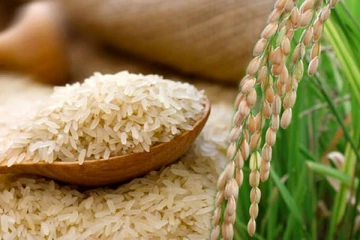 அரிசி விலைகளில் ஏற்படவுள்ள மாற்றம்!