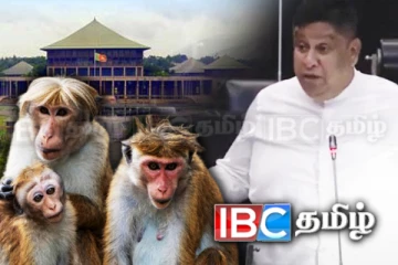 நாடாளுமன்ற விடுமுறை: விலங்கு கணக்கெடுப்புக்கு செல்லக் கோரும் எம்.பி