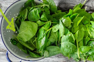 உலகின் மிக விலை உயர்ந்த கீரை! அப்படியென்ன மருத்துவ குணம் இதில் இருக்கிறது?