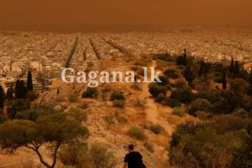 අගනුවරක් එකපාරටම තැඹිලි පාට වෙලා.. (PHOTOS)