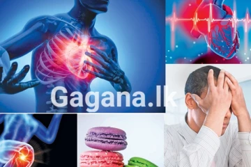 ජීවිත දැඩි අවධානමක - රෑ වැටුණු වලේ දවලුත් වැටෙන්න යයි..