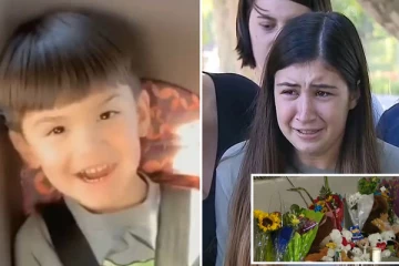 கார் குறுக்கே வந்த கோபத்தில் மோசமான சைகை காட்டியதால் மகனை இழந்த பெண்: குற்றவாளிகள் இவர்கள்தான்