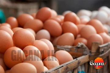 බිත්තර ගැන සුභ ආරංචියක් මෙන්න