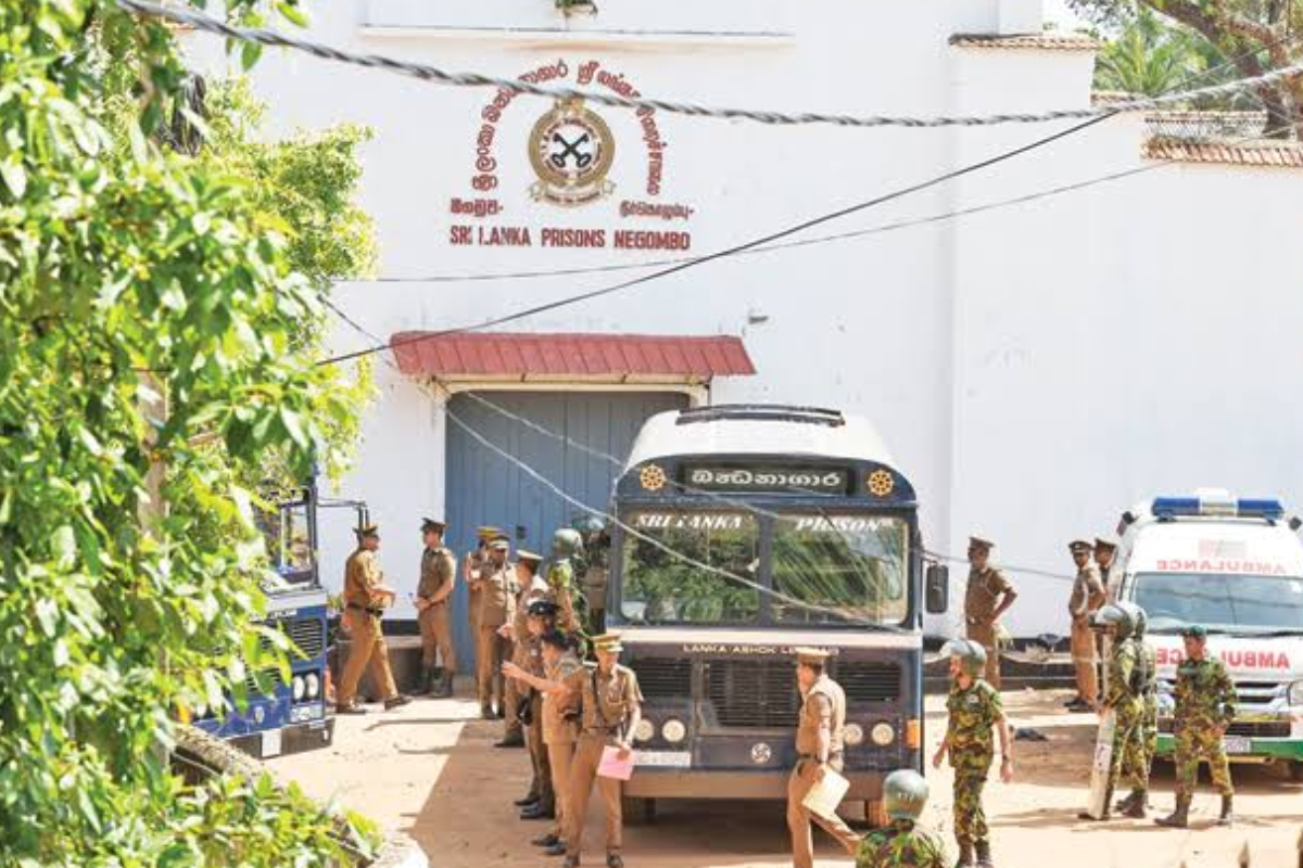 சிறைச்சாலை மோதலுக்கு அநுர அரசாங்கமே முழுக்காரணம் : எழும் விமர்சனம் | The Government Sole Cause Of The Prison Conflict சிறைச்சாலை மோதலுக்கு அநுர அரசாங்கமே முழுக்காரணம் : எழும் விமர்சனம் | The Government Sole Cause Of The Prison Conflict