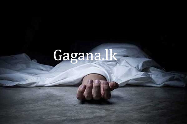 අනතුරු හේතුවෙන් දිනකට සිදුවන මරණ ගැන අනාවරණයක්. | Daily Deaths Due To Accidents