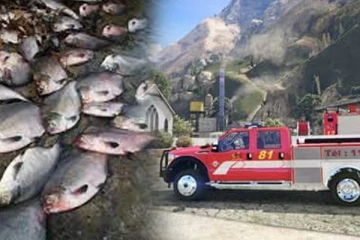 சுவிஸ் நதியில் செத்து மிதந்த மீன்கள்... நதிக்குள் தண்ணீரை பாய்ச்சும் தீயணைப்பு வீரர்கள்: பின்னணி