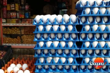 අපිට පාඩුයි - බිත්තර මිල වැඩි කරන්න