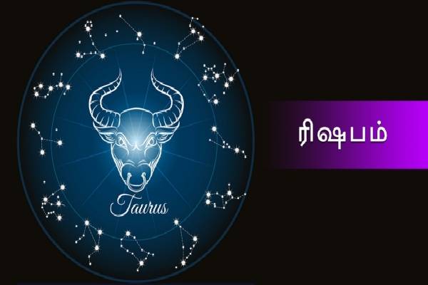 30 வருடங்களின் பின் இணையும் சனி-சுக்கிரன் : இந்த 3 ராசிகளுக்கு ஜாக்பாட் உறுதி! | Saturn Venus Conjunction Who Get Huge Luck Money