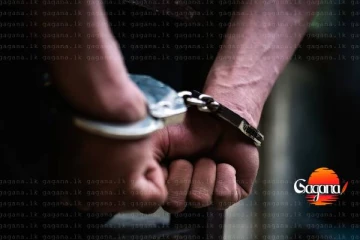 මත්කරල් 400ක් සමග පුද්ගලයෙක් අත්අඩංගුවට