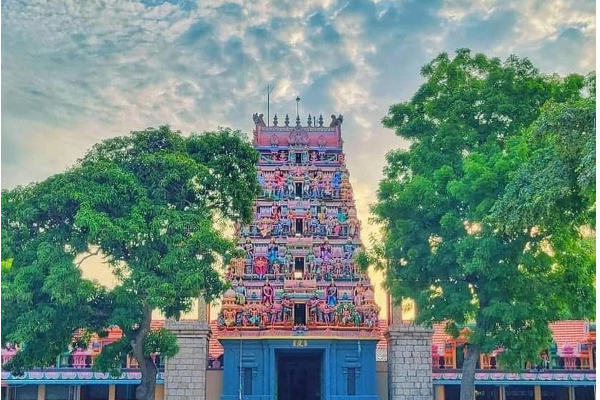 யாழ் சுழிபுரம் பறாளாய் முருகன் விவகாரம் தொடர்பில் ஜனாதிபதி கருத்து! | Suzhipuram Paralai Murugan Issue Ranil Comment