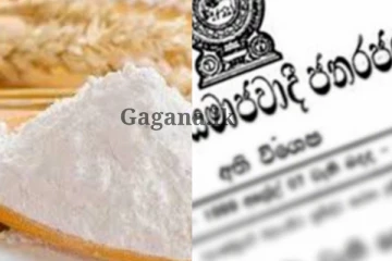 තිරිඟු පිටි ගැන විශේෂ තීරණයක් - ගැසට් නිවේදනයක් ද නිකුත් කරයි.